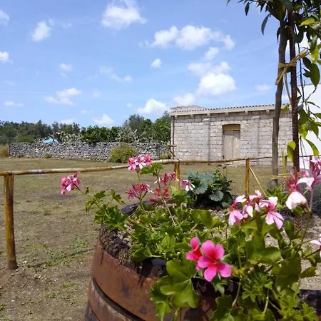 Masseria Petrore Grande Di Polimeno Alessandra * 库特罗菲安诺