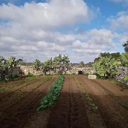 Masseria Petrore Grande Di Polimeno Alessandra * 库特罗菲安诺