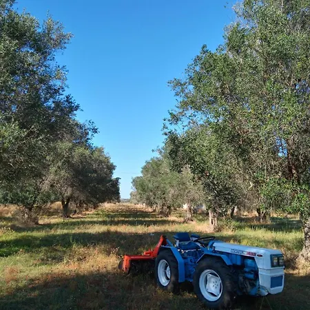 Masseria Petrore Grande Di Polimeno Alessandra